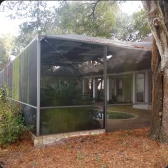 Rear elevation of a screened pool cage attached to a single-storey home under mature trees