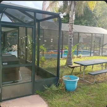 Screen enclosure on the side of a house with a palm and planted beds alongside