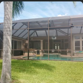 Pool cage viewed through palm fronds, mesh panels running the full height of the frame